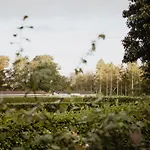 Alpstuga Het Goudhaantje Emst