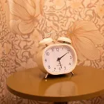 Шале Het Goudhaantje *