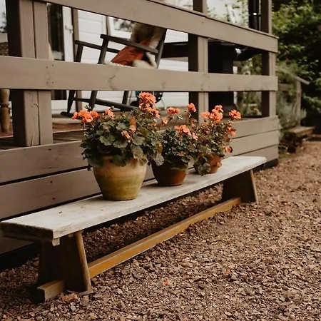 Alpstuga Het Goudhaantje