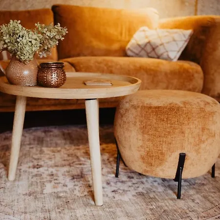 Het Goudhaantje * Emst