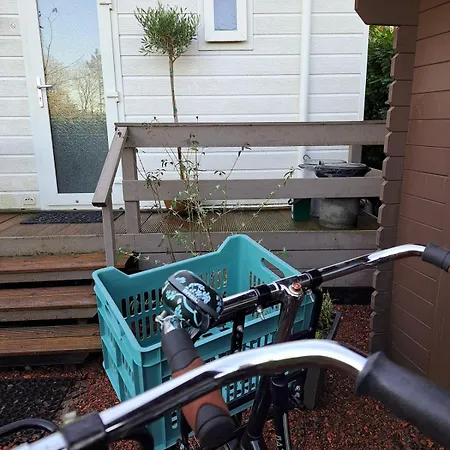 Het Goudhaantje * Emst