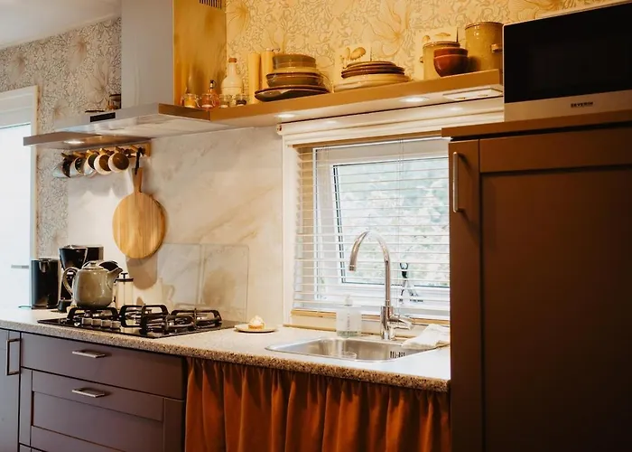 Het Goudhaantje Alpstuga Emst