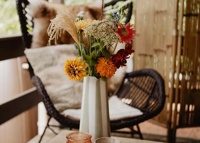 Alpstuga Het Goudhaantje *