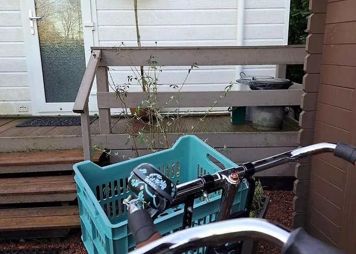 Het Goudhaantje * Emst