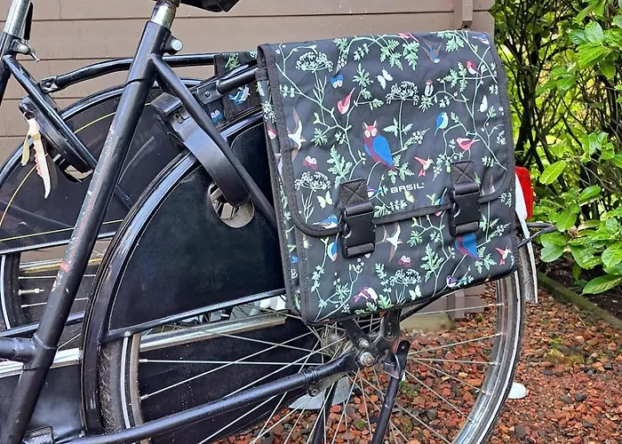 Het Goudhaantje Alpstuga