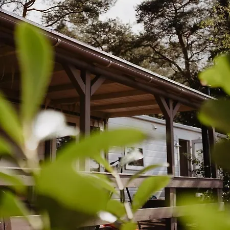 شاليه Het Goudhaantje *