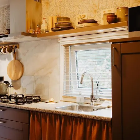 Het Goudhaantje شاليه إمست