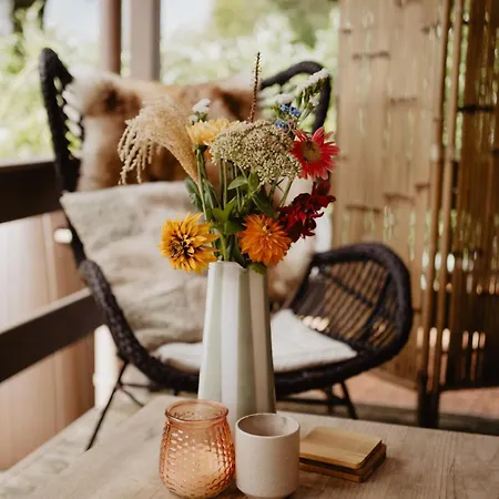 شاليه Het Goudhaantje *