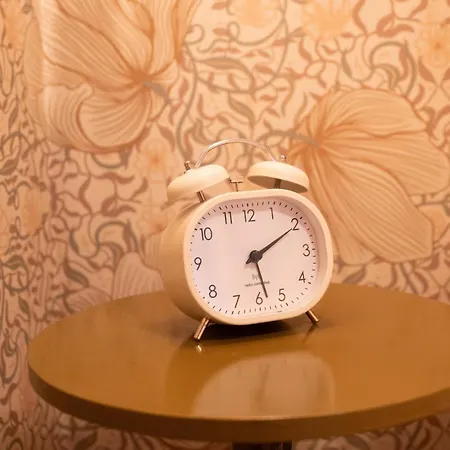 شاليه Het Goudhaantje *