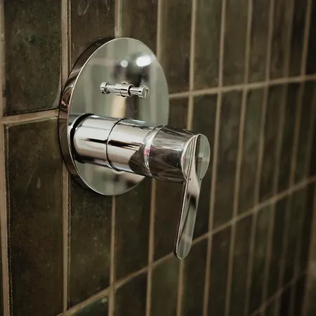 شاليه Het Goudhaantje *