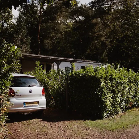 Het Goudhaantje 木屋