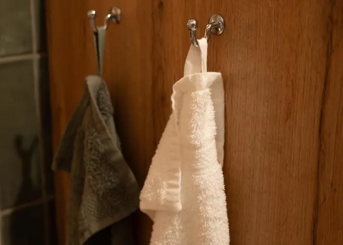 Het Goudhaantje 木屋 埃姆斯特