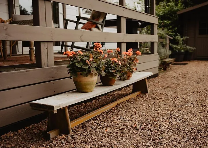 木屋 Het Goudhaantje