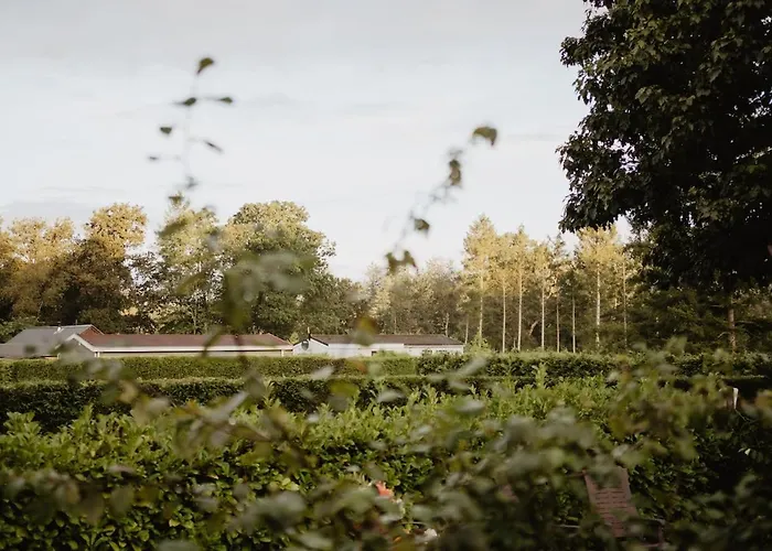 木屋 Het Goudhaantje 埃姆斯特