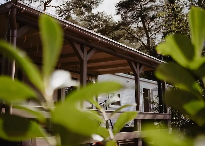 木屋 Het Goudhaantje *