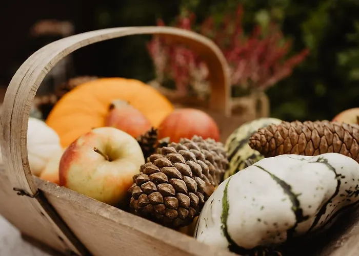 木屋 Het Goudhaantje