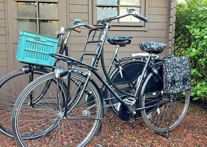 Het Goudhaantje 木屋 *