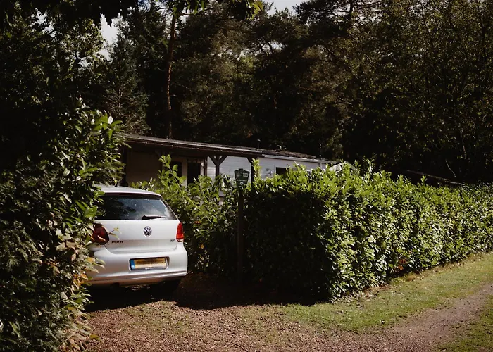 Het Goudhaantje 木屋